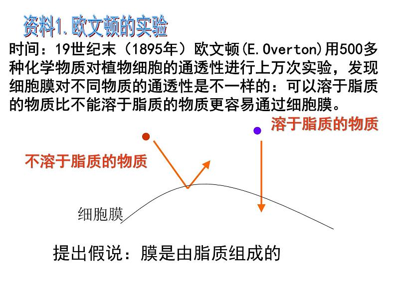 高一生物人教版必修一课件：4.2生物膜的流动镶嵌模型课件（共28 张PPT）04