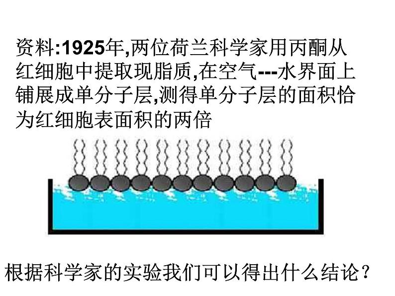 高一生物人教版必修一课件：4.2生物膜的流动镶嵌模型课件（共28 张PPT）07