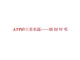 高一生物人教版必修一课件：5.3ATP的主要来源——细胞呼吸课件（共39 张PPT）