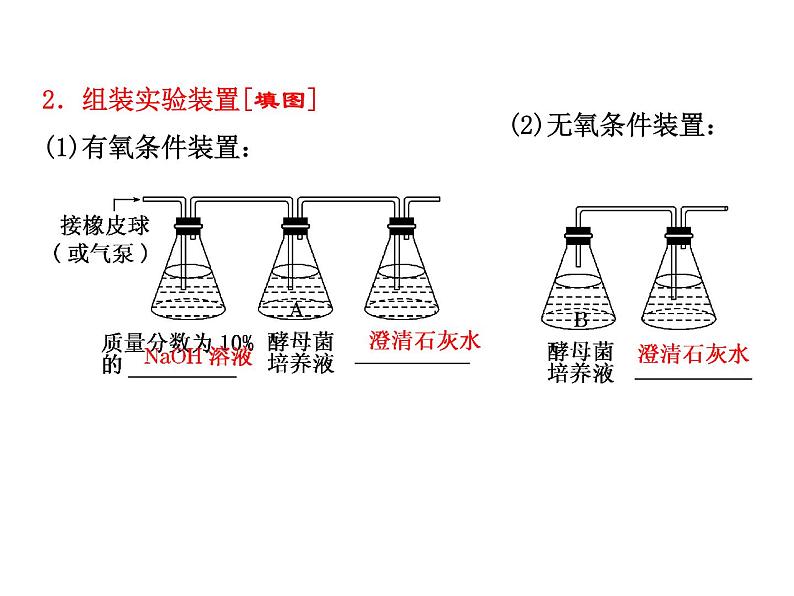 高一生物人教版必修一课件：5.3ATP的主要来源——细胞呼吸课件（共39 张PPT）03