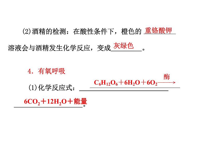 高一生物人教版必修一课件：5.3ATP的主要来源——细胞呼吸课件（共39 张PPT）05