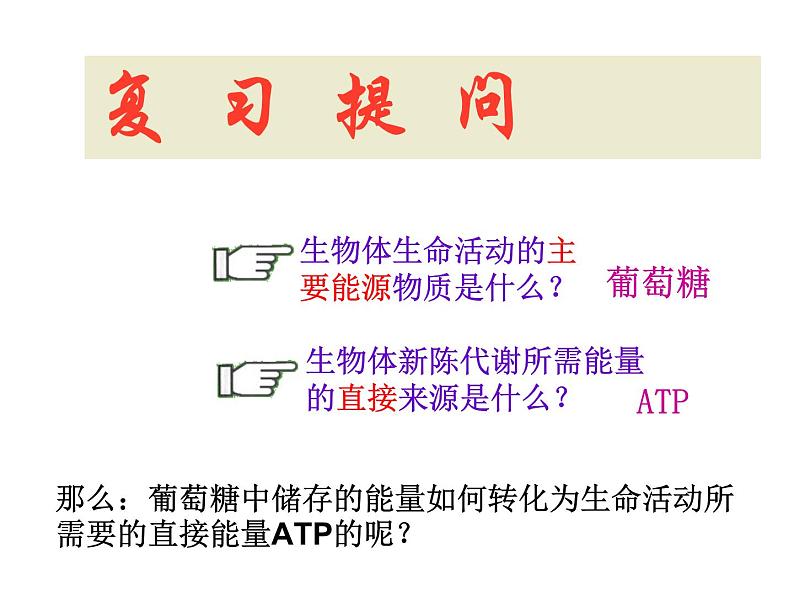 高一生物人教版必修一课件：5.3ATP的主要来源——细胞呼吸课件（共39 张PPT）08