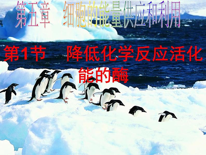 高一生物人教版必修一课件：5.1降低化学反应活化能的酶课件（共45 张PPT）01