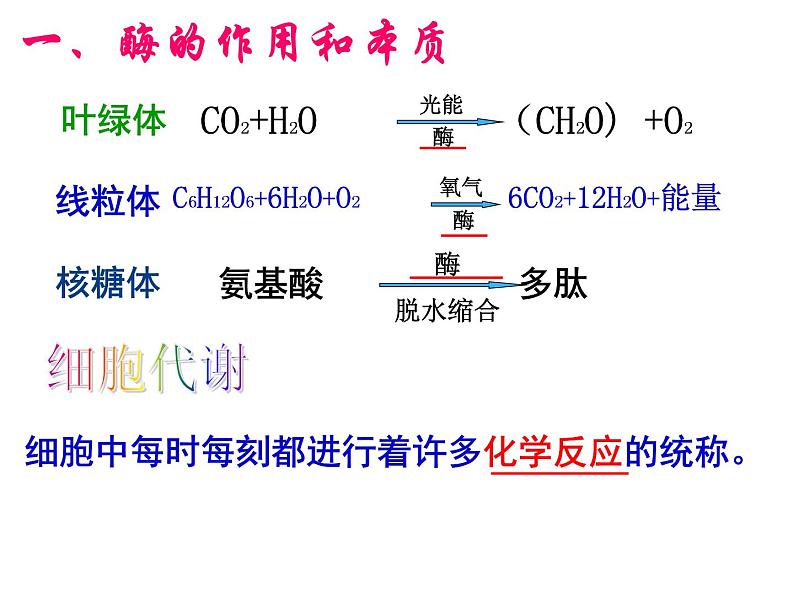 高一生物人教版必修一课件：5.1降低化学反应活化能的酶课件（共45 张PPT）04