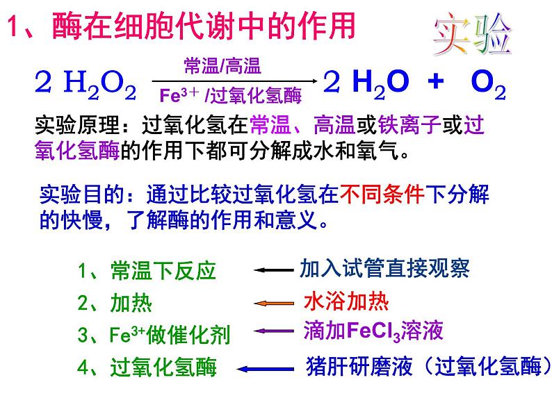 高一生物人教版必修一课件：5.1降低化学反应活化能的酶课件（共45 张PPT）06