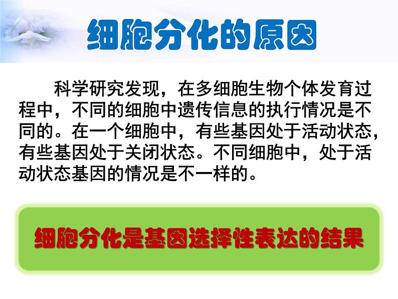 高一生物人教版必修一课件：6.2细胞的分化课件（共28 张PPT）07