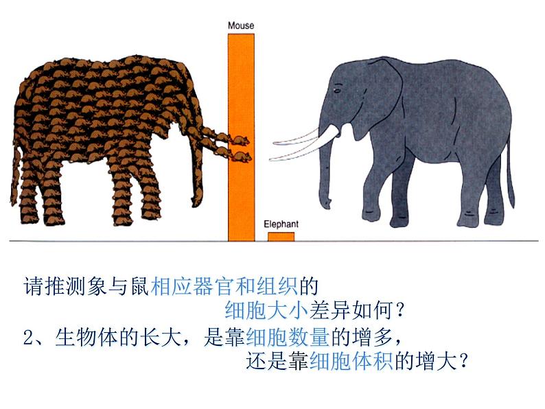 高一生物人教版必修一课件：6.1细胞的增殖课件（共64 张PPT）02