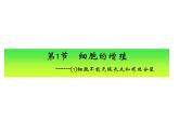 高一生物人教版必修一课件：6.1细胞的增殖课件（共64 张PPT）