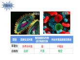 1.1 细胞生活的环境   课件