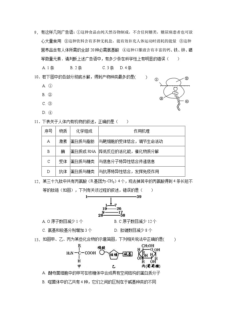 【生物】福州市八县（市）协作校2017—2018学年高二下学期期末联考第3页