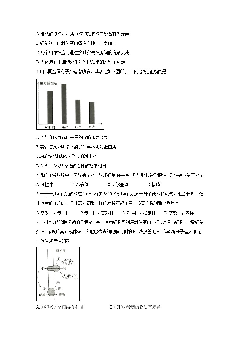 【生物】陕西省汉中市汉台区2018-2019学年高二下学期期末考试第2页