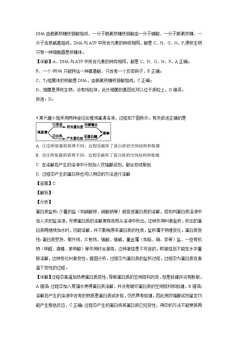 【生物】四川省成都市双流区双流棠湖中学2018-2019学年高二下学期期末考试试题（解析版）03