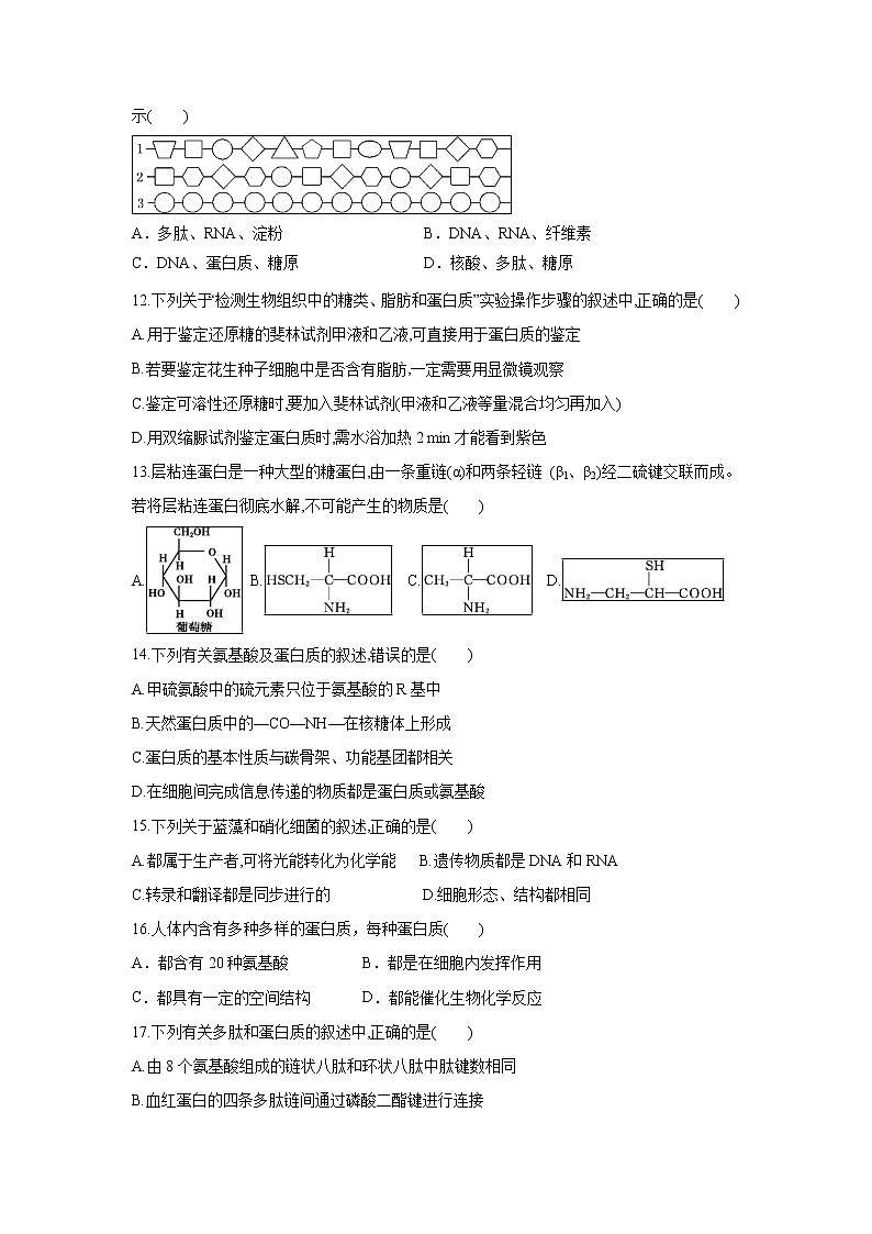 【生物】陕西省榆林市第二中学2018-2019学年高二下学期期末考试试题第3页