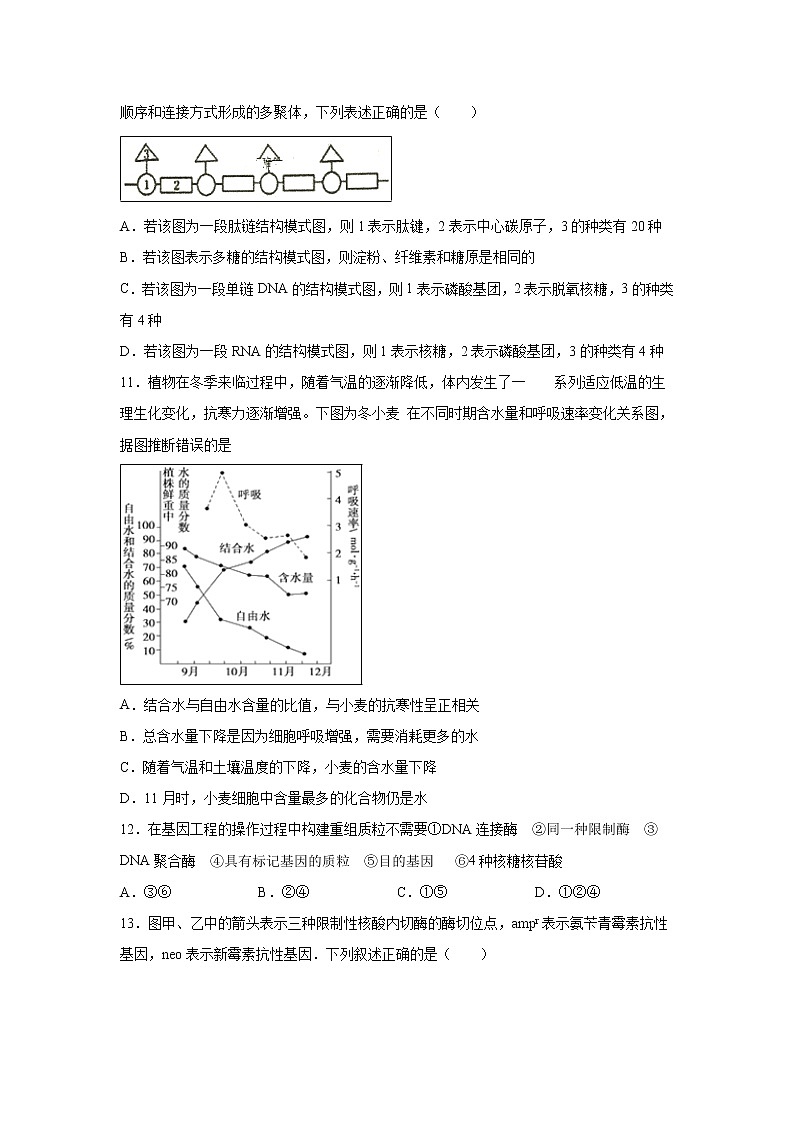 【生物】新疆乌鲁木齐市第四中学2018-2019学年高二下学期期末考试试题03