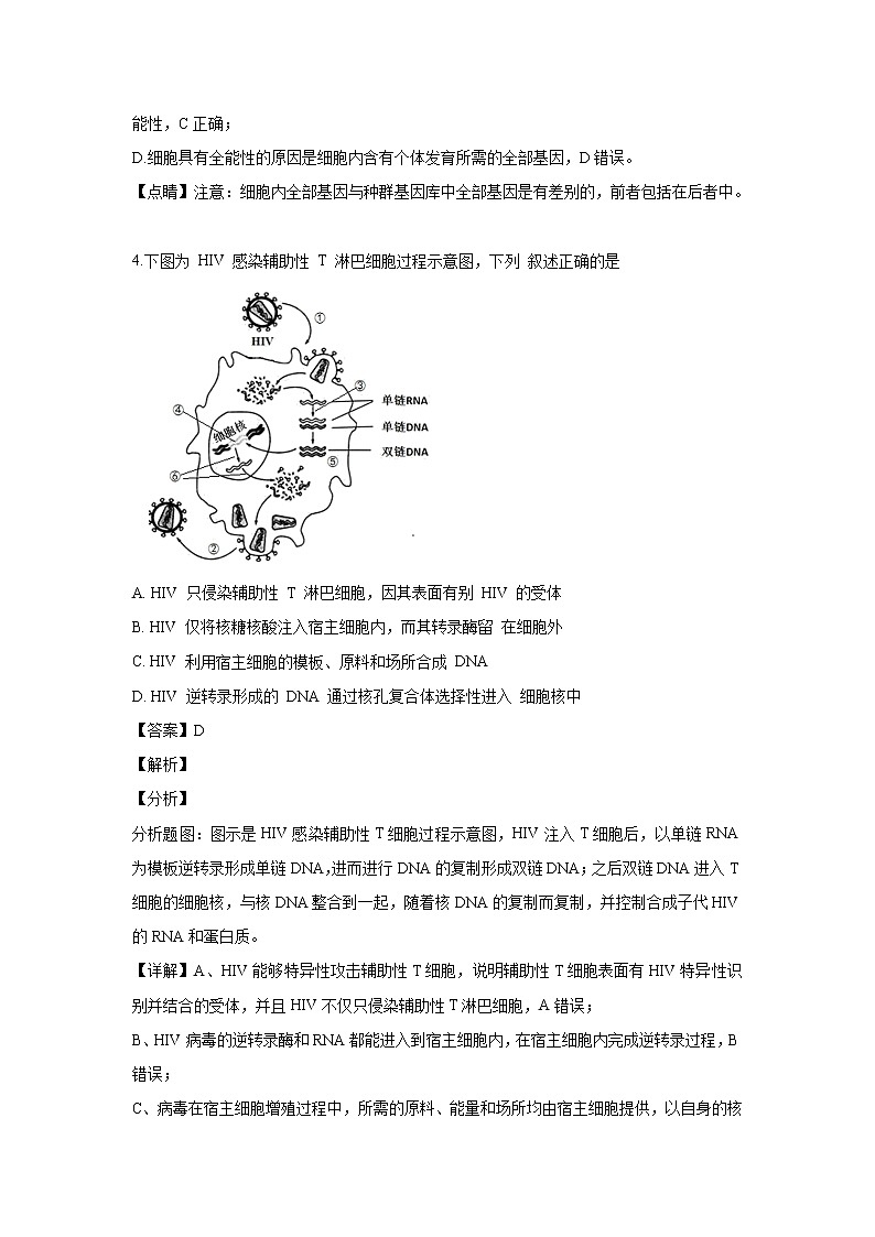 【生物】浙江省杭州市2018-2019学年高二期末考试试题（解析版）第3页