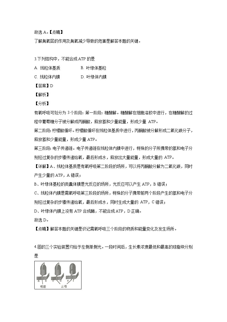 【生物】浙江省湖州市2018-2019学年高二下学期期末考试试题（解析版）02