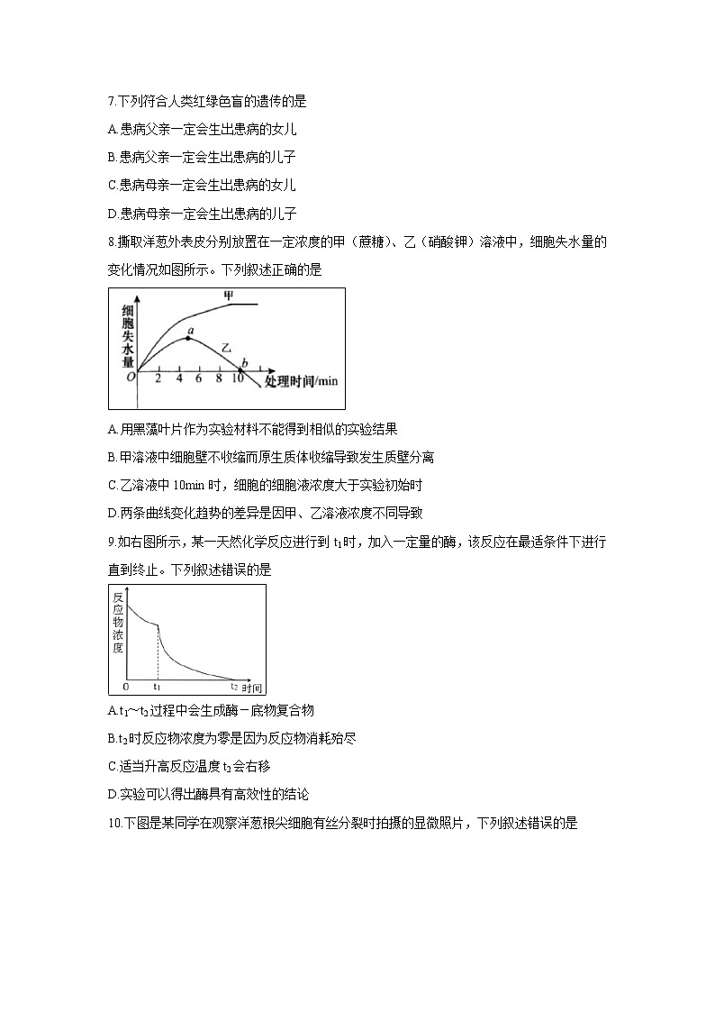【生物】浙江省温州市十五校联盟联合体2018-2019学年高二下学期期末考试第2页