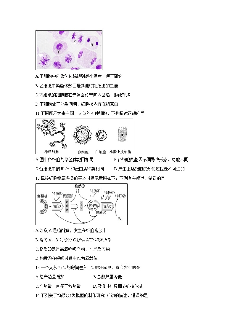 【生物】浙江省温州市十五校联盟联合体2018-2019学年高二下学期期末考试第3页