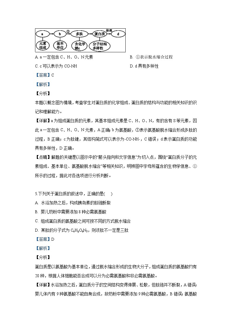 【生物】新疆维吾尔自治区乌鲁木齐市四中2018-2019学年高二下学期期末考试试卷（解析版）03