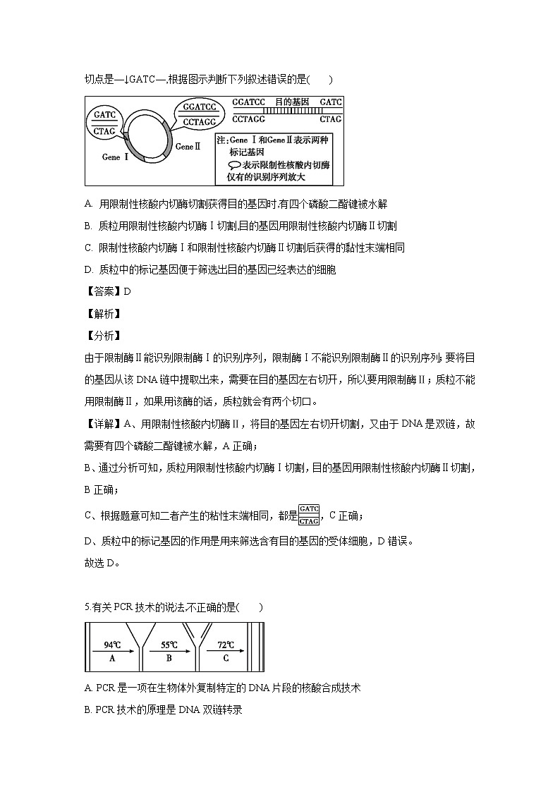 【生物】河南省周口中英文学校2018-2019学年高二下学期期末考试试题（解析版）第3页