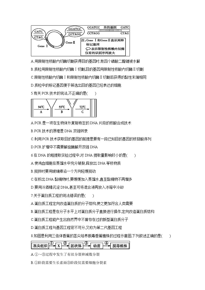 【生物】河南省周口中英文学校2018-2019学年高二下学期期末考试试题02