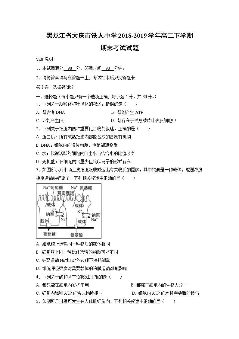 【生物】黑龙江省大庆市铁人中学2018-2019学年高二下学期期末考试试题01