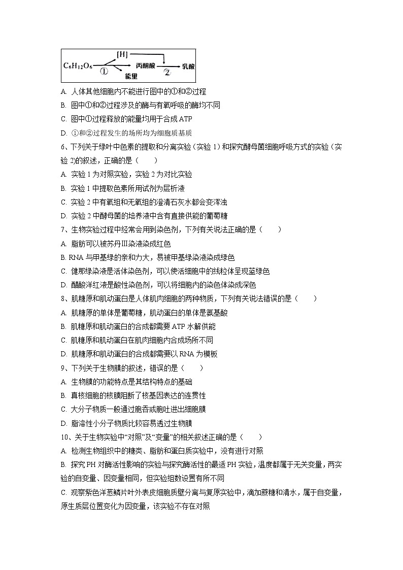【生物】黑龙江省大庆市铁人中学2018-2019学年高二下学期期末考试试题02