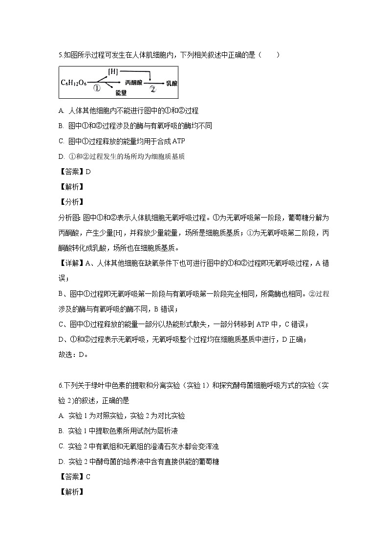 【生物】黑龙江省大庆市铁人中学2018-2019学年高二下学期期末考试试题（解析版）03