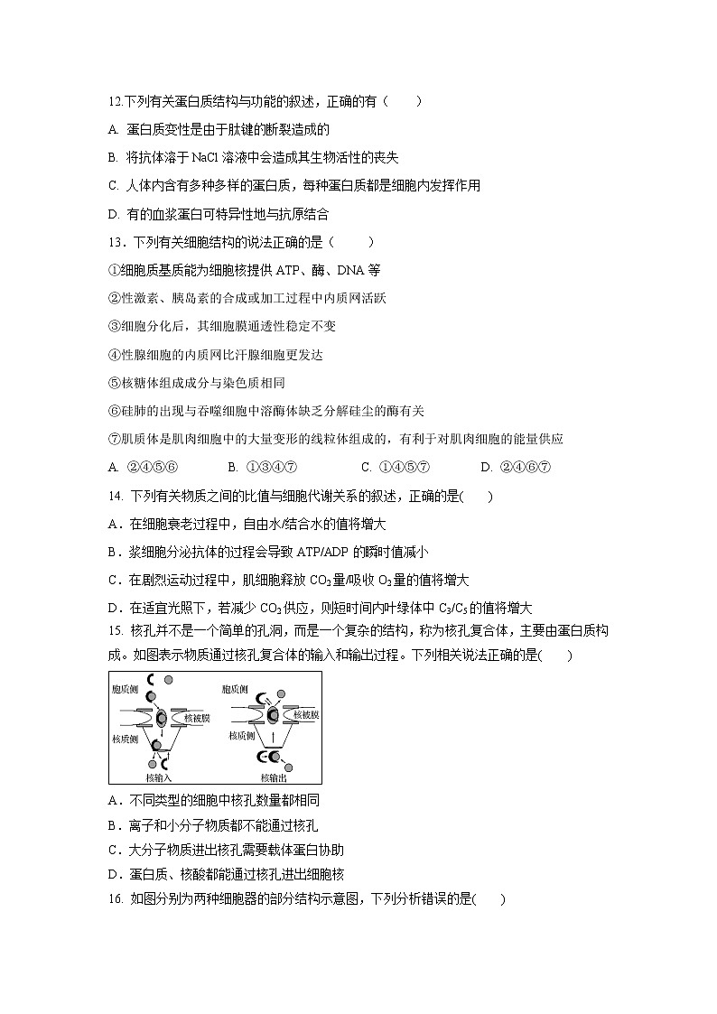 【生物】黑龙江省鹤岗市第一中学2018-2019学年高二下学期期末试题03