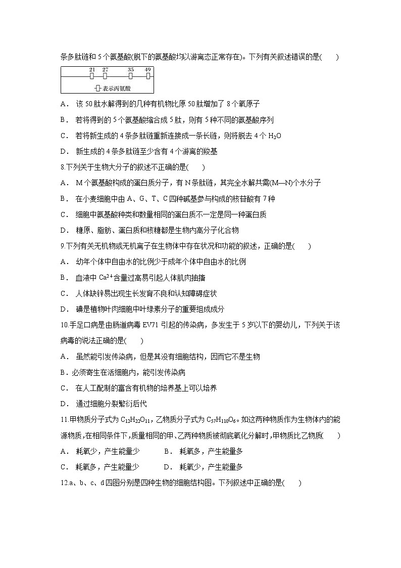 【生物】吉林省白城市第一中学2018-2019学年高二下学期期末考试试题第2页