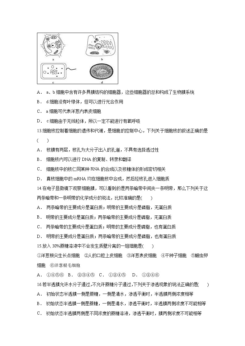 【生物】吉林省白城市第一中学2018-2019学年高二下学期期末考试试题第3页