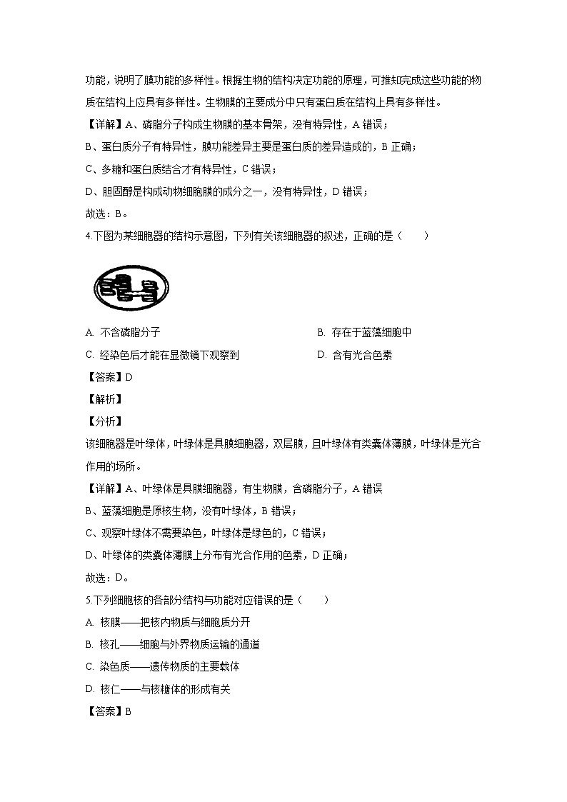 【生物】吉林省白山市2018-2019学年高二下学期期末考试试题（解析版）02