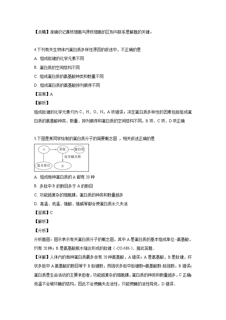 【生物】吉林省实验中学2018-2019学年高二下学期期末考试试题（解析版）03