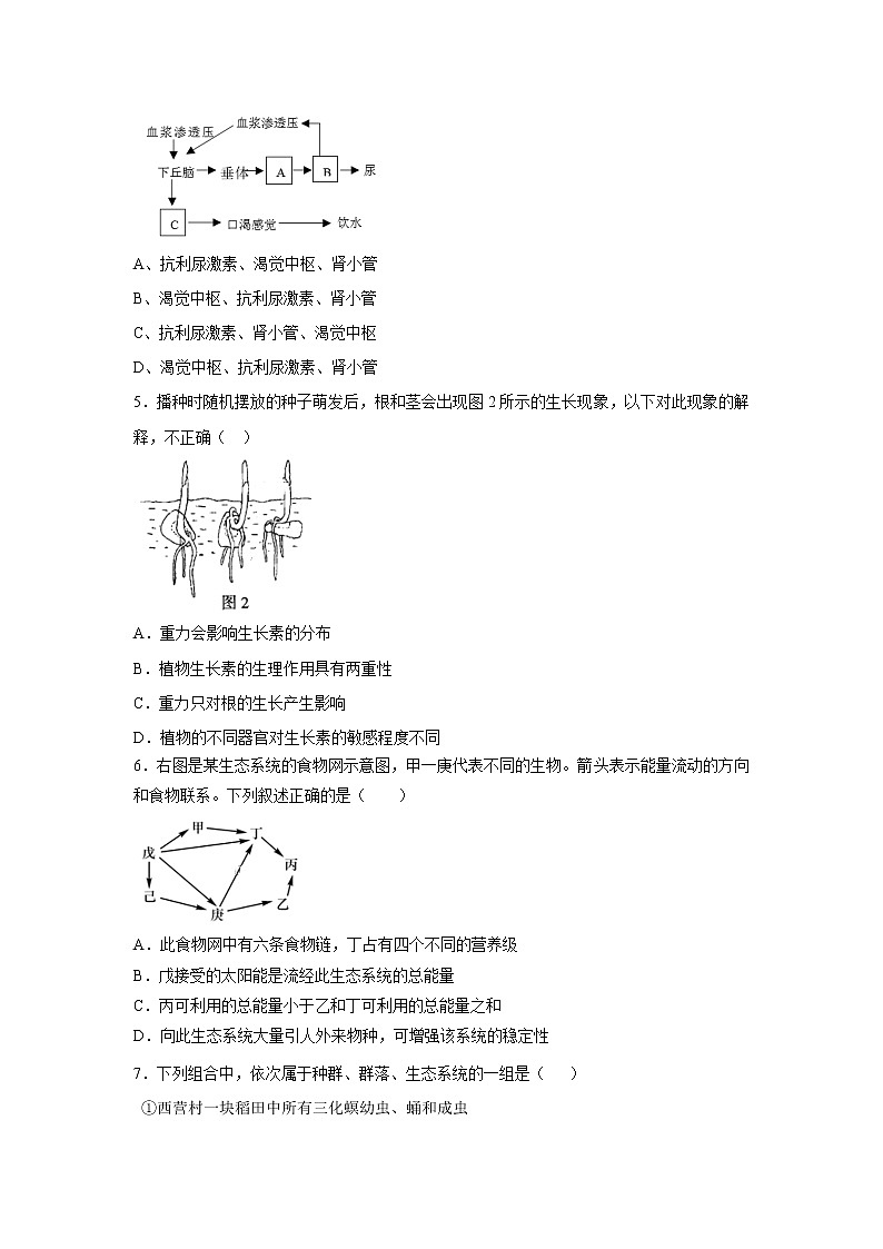 【生物】辽宁省沈阳市城郊市重点联合体2018-2019学年高二下学期期末考试试卷02