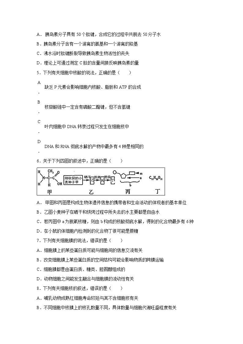 【生物】内蒙古集宁一中（西校区）2018-2019学年高二下学期期末考试试题02