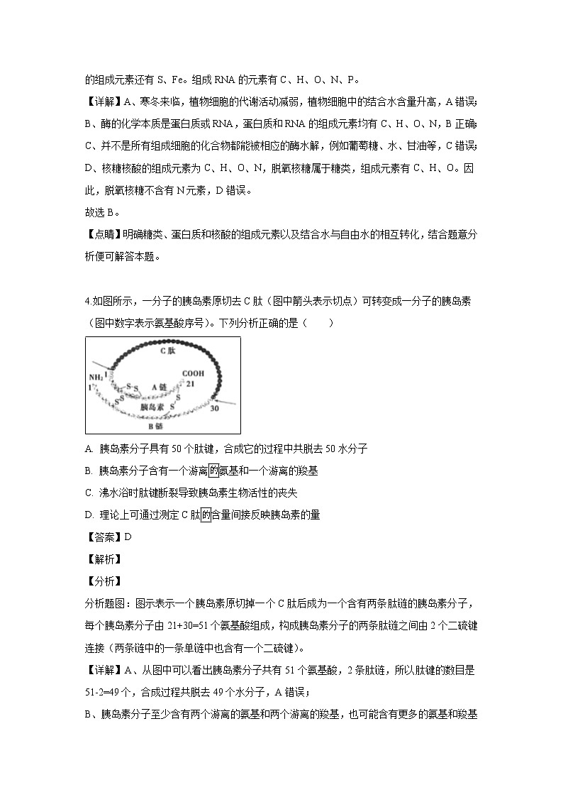 【生物】内蒙古乌兰察布市集宁一中（西校区）2018-2019学年高二下学期期末考试试卷（解析版）第3页
