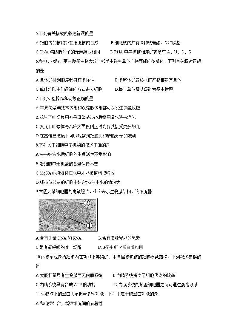 【生物】山东省德州市2018-2019学年高二下学期期末考试02