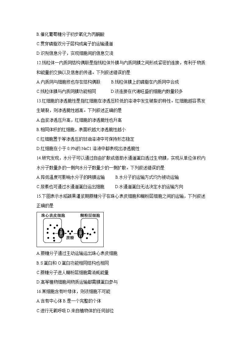 【生物】山东省德州市2018-2019学年高二下学期期末考试03