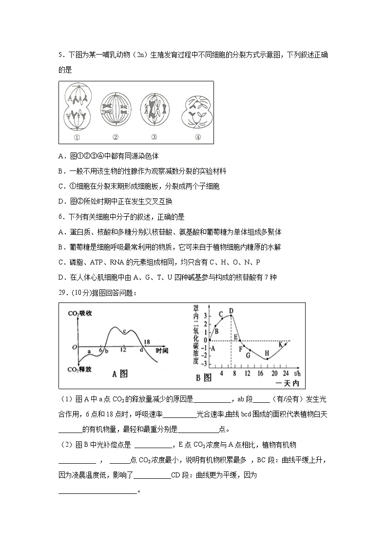 【生物】四川省泸县第五中学2018-2019学年高二下学期期末模拟试题02