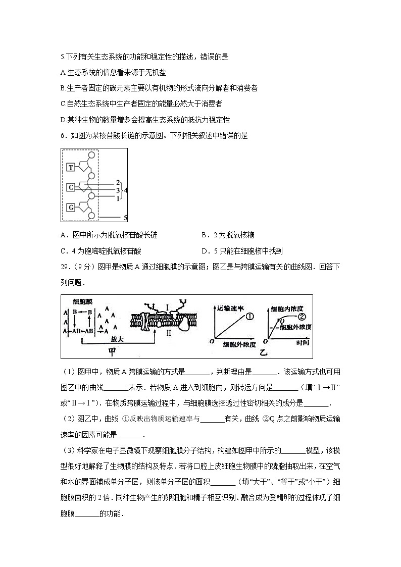 【生物】四川省棠湖中学2018-2019学年高二下学期期末模拟试题第2页