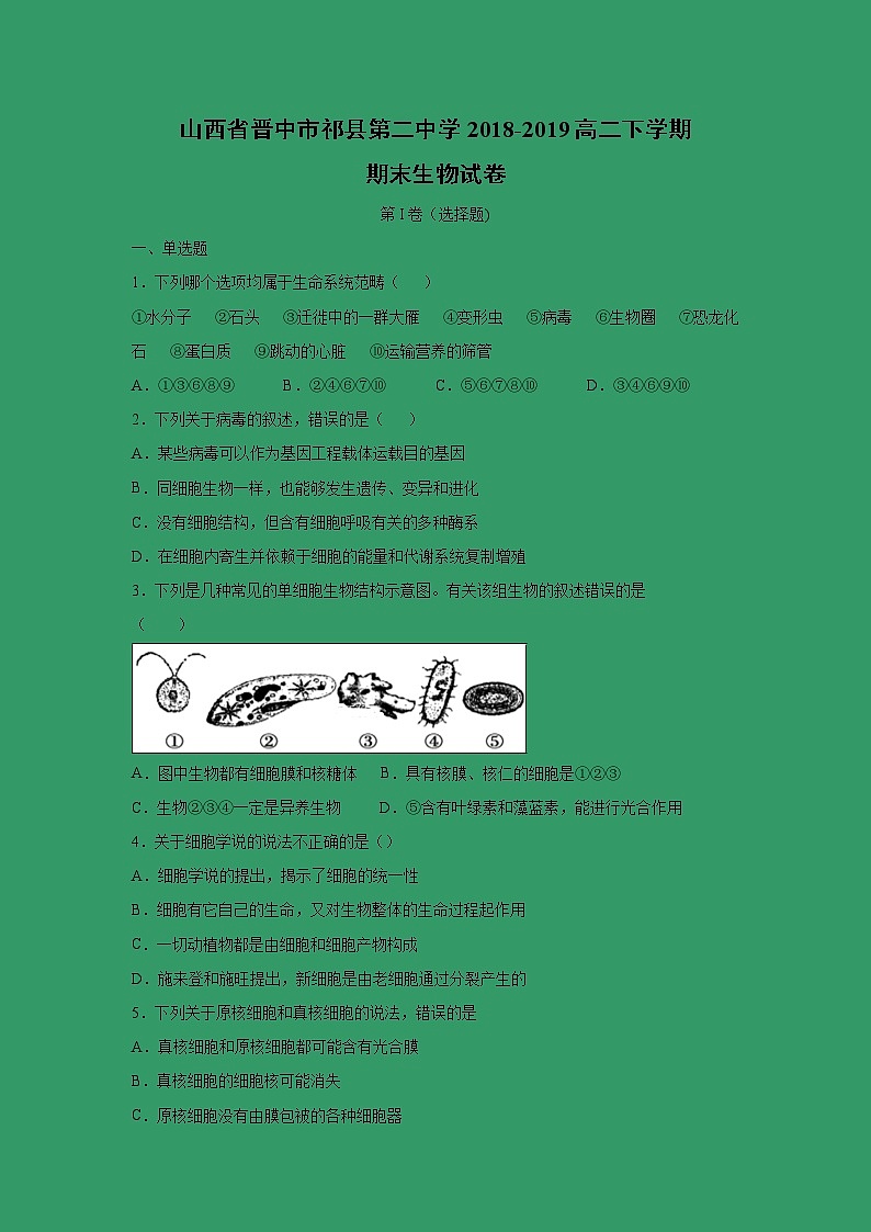 【生物】山西省晋中市祁县第二中学2018-2019高二下学期期末生物试卷01