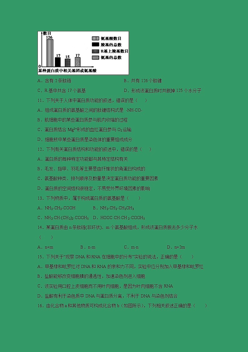 【生物】山西省晋中市祁县第二中学2018-2019高二下学期期末生物试卷03
