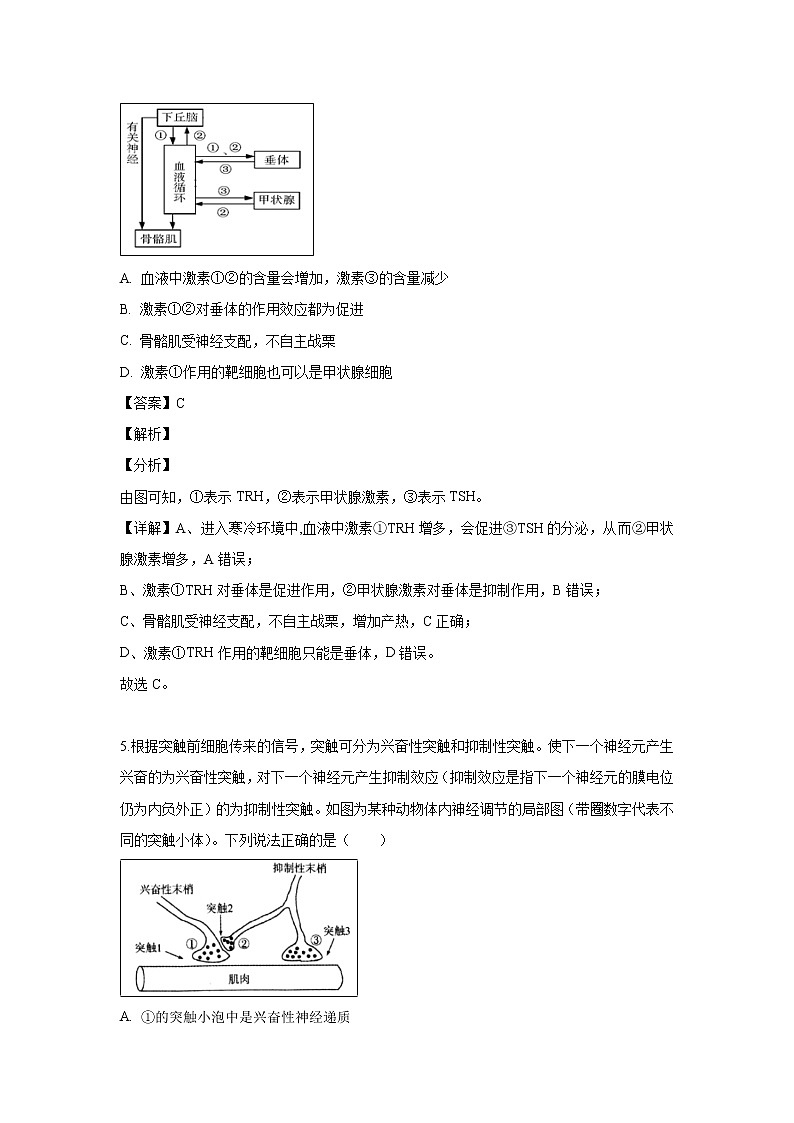 【生物】安徽省六安市一中2018-2019学年高二下学期期末考试试题（解析版）03