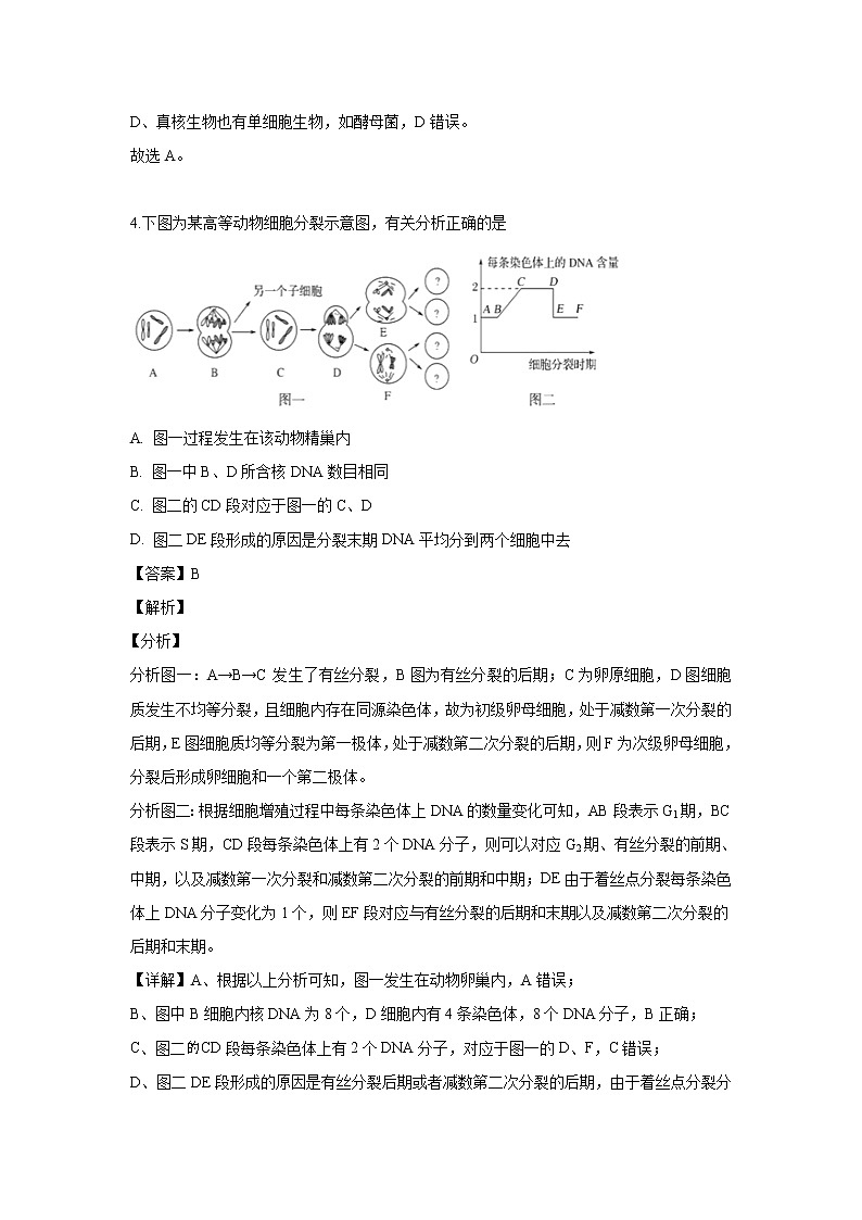 【生物】安徽省宣城市2018-2019学年高二下学期期末考试试题（解析版）03