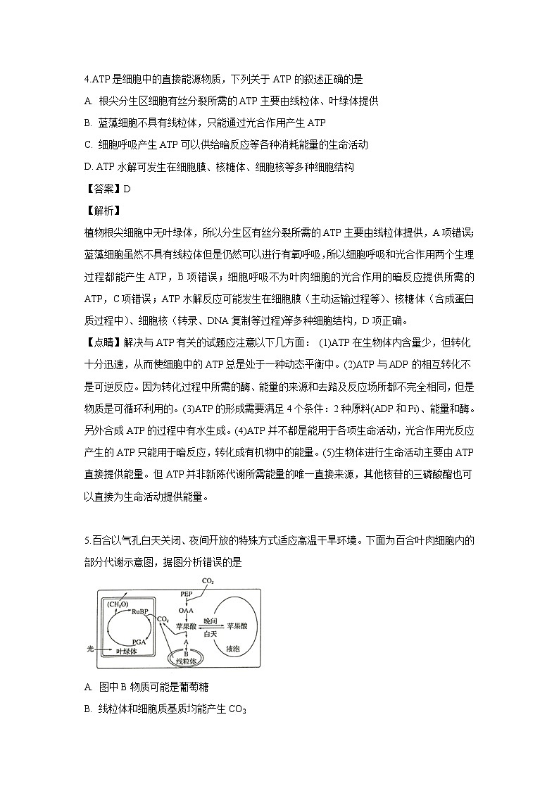 【生物】安徽省宣城市郎溪中学2018-2019学年高二下学期期末考试试题（解析版）03