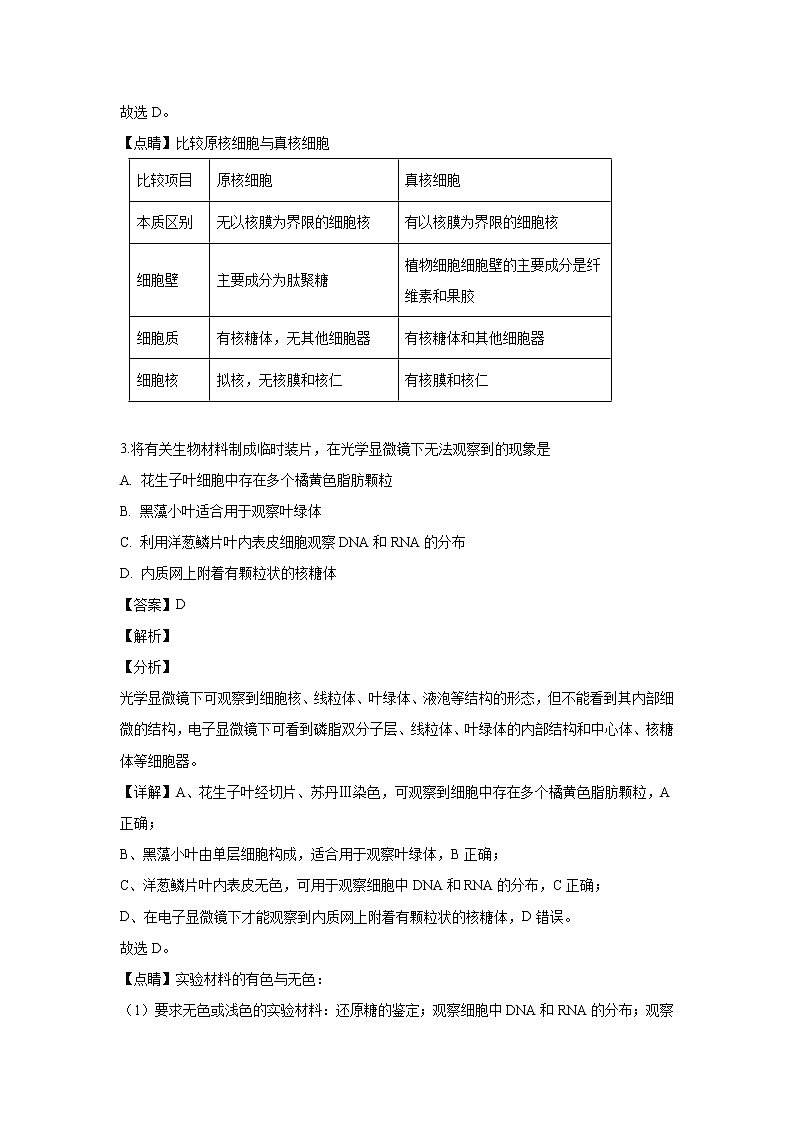 【生物】北京市昌平区新学道临川学校2018-2019学年高二下学期期末考试试卷（解析版）02