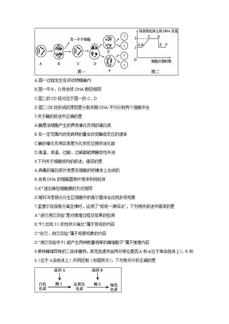【生物】安徽省宣城市2018-2019学年高二下学期期末考试试题02