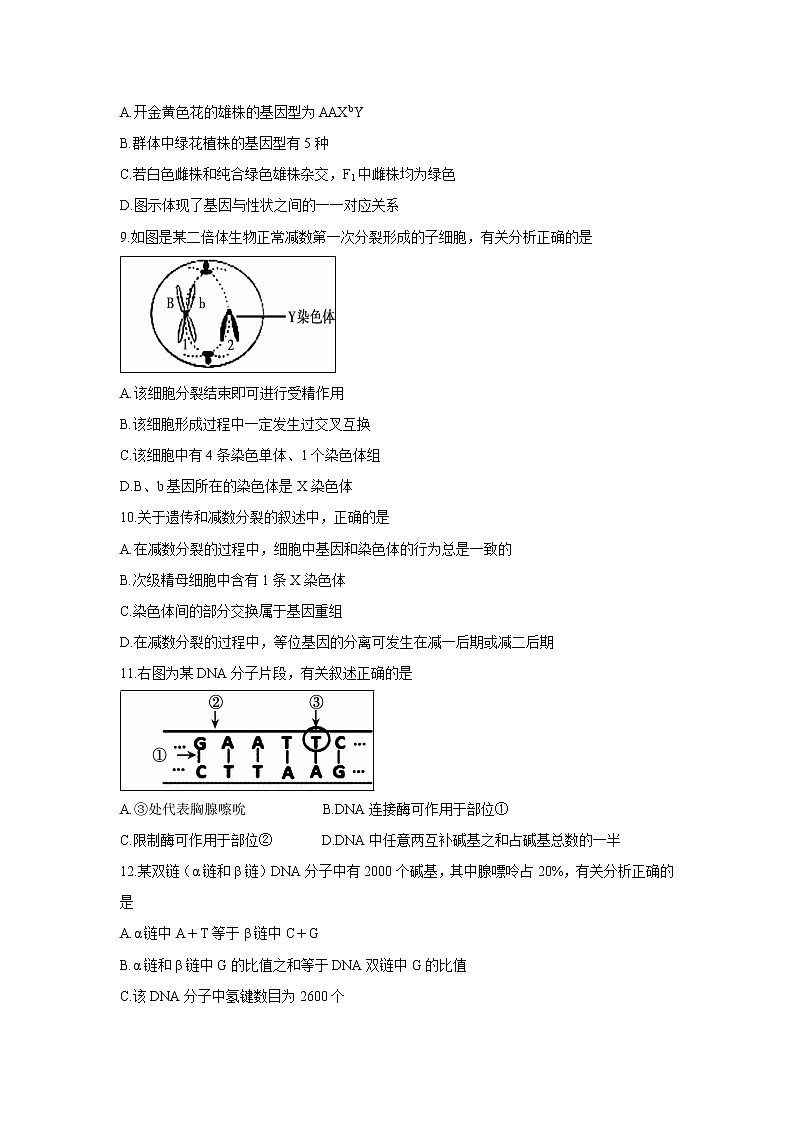 【生物】安徽省宣城市2018-2019学年高二下学期期末考试试题03