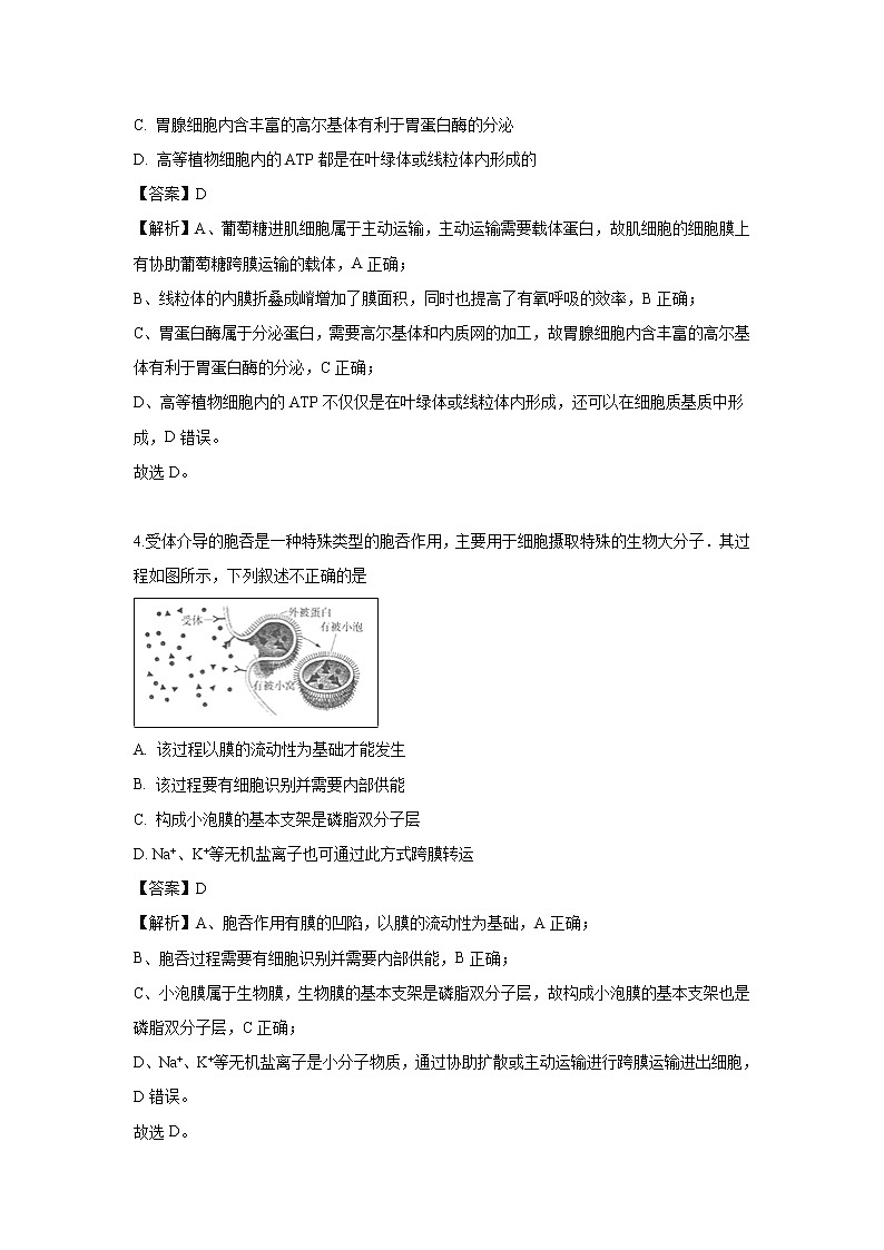 【生物】北京市东城区2018-2019学年高二下学期期末考试试卷（解析版）02