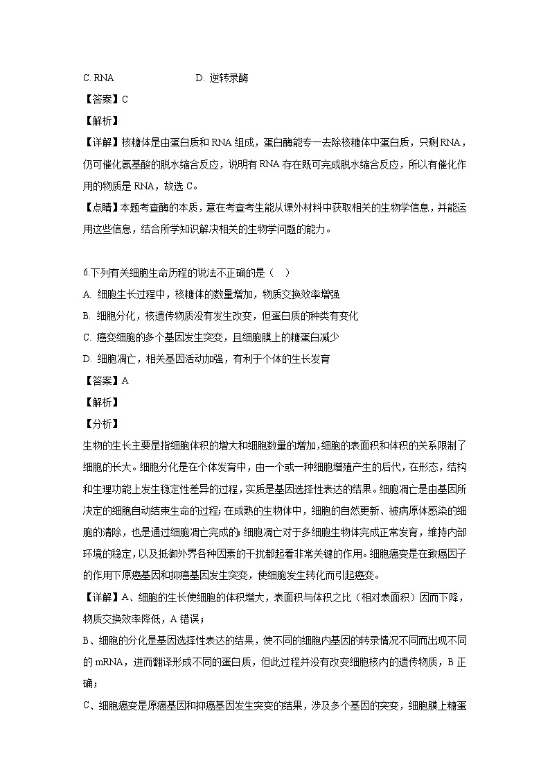 【生物】福建省福州市长乐高级中学2018-2019学年高二下学期期末考试试题（解析版）03